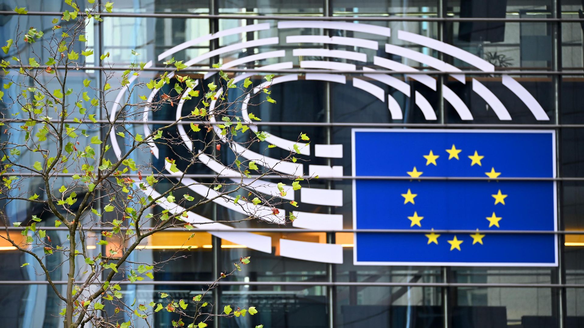 Логотип Евросоюза на здании штаб-квартиры Европейского парламента в Брюсселе - ИноСМИ, 1920, 25.11.2025