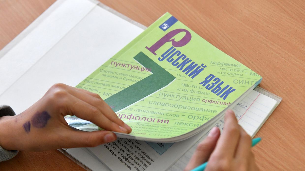 Ученик на уроке русского языка