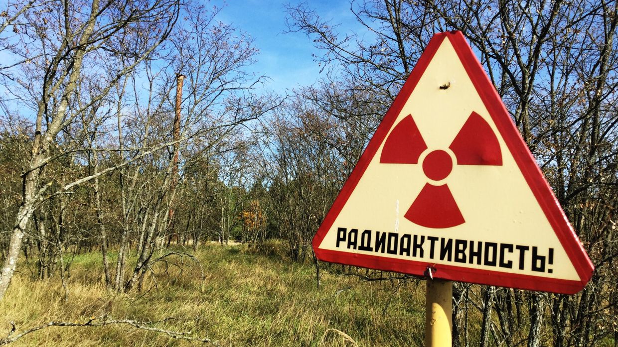 Полесский радиационно-экологический заповедник в Белоруссии