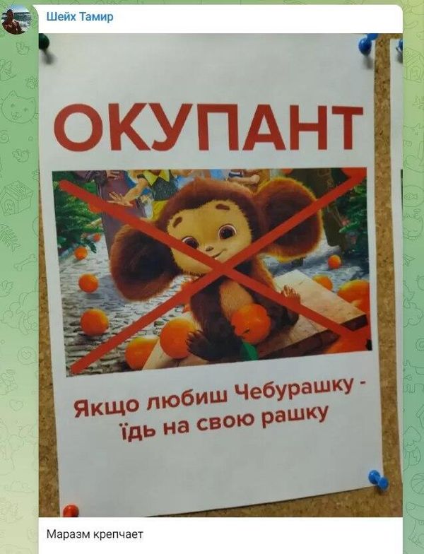 В соцсетях высмеяли плакат с Чебурашкой-оккупантом в киевских школах