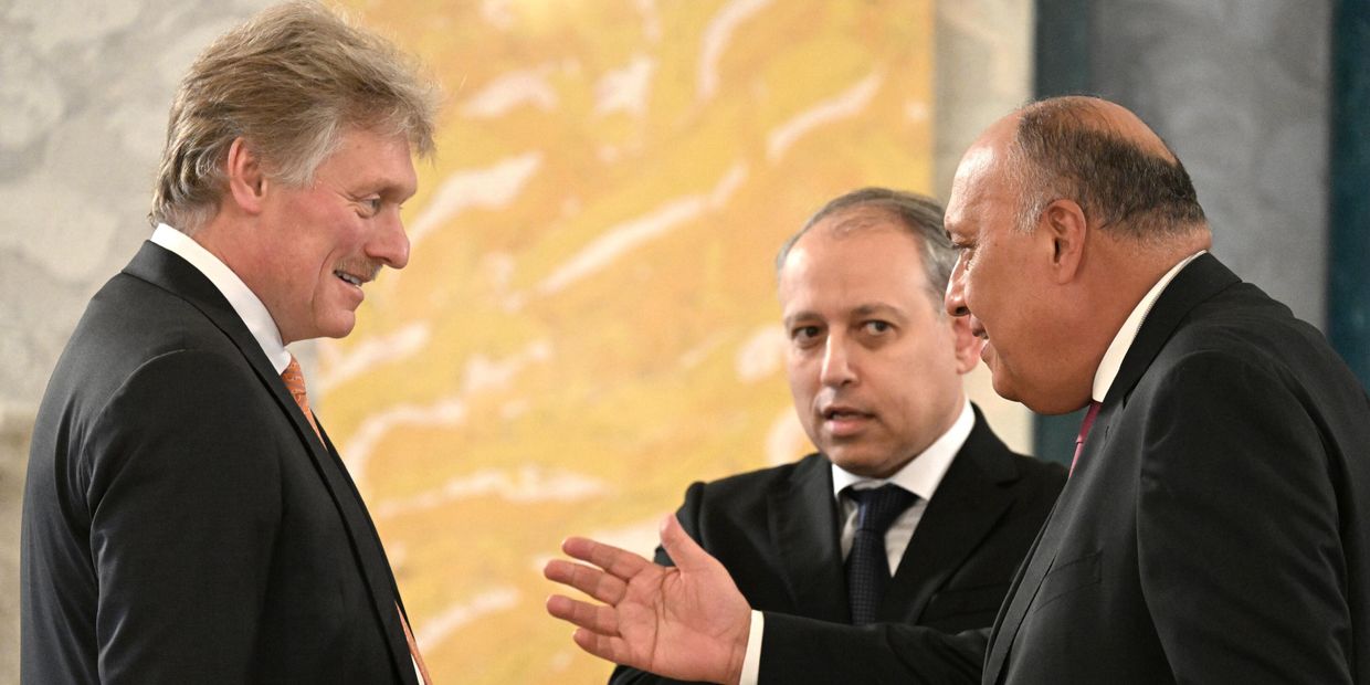 Президент РФ В. Путин принял лидеров ряда африканских государств