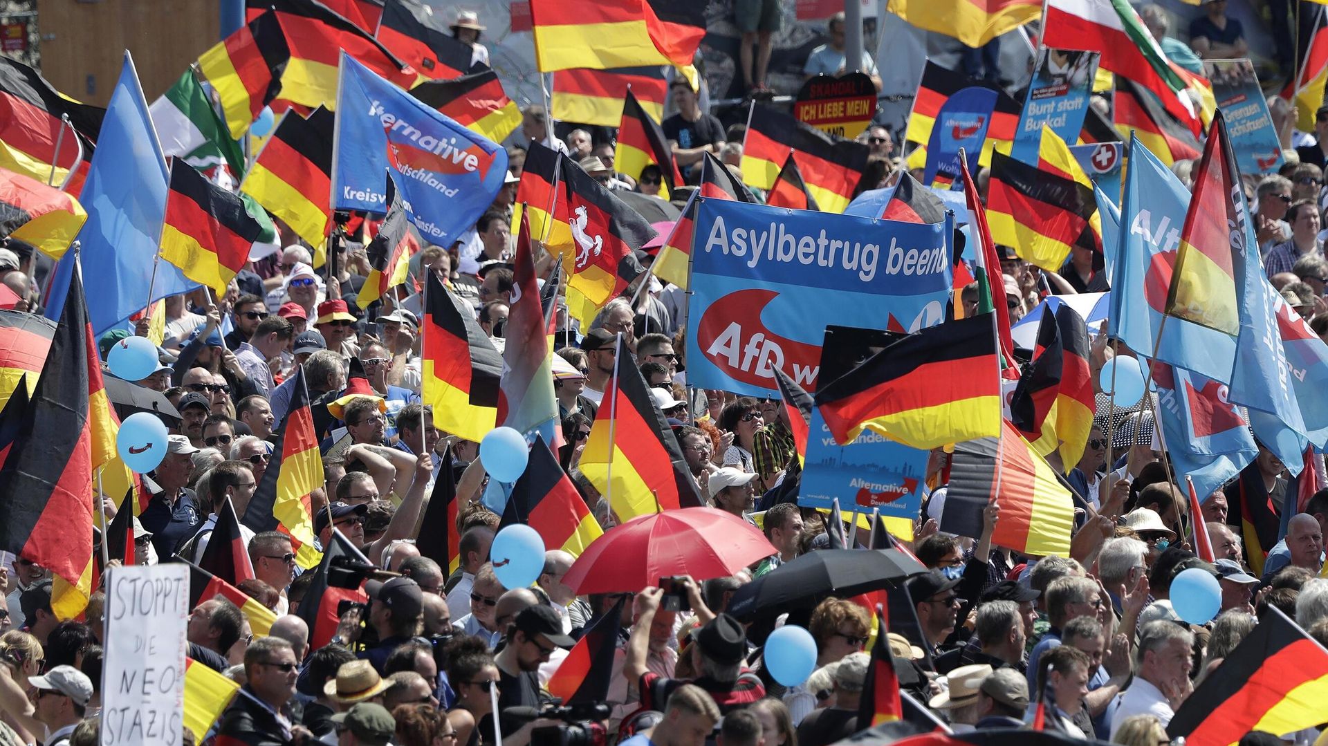 Сторонники партии Альтернатива для Германии на митинге в Берлине, Германия. 27 мая 2018 года - ИноСМИ, 1920, 16.06.2026