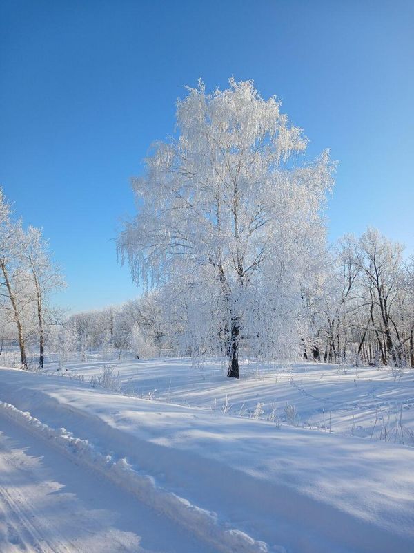 Липецкая область. Автор фотографии: Сергей