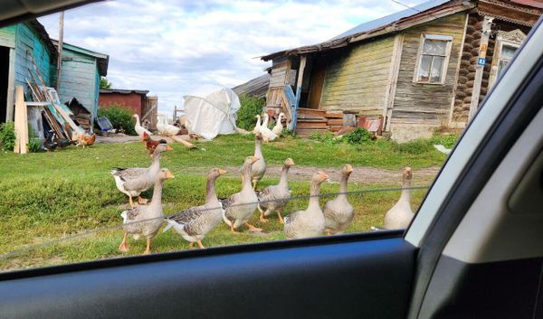 Деревня Старые Ключищи, Нижегородская область. Автор фотографии: Роман