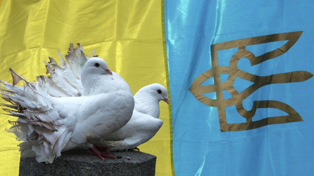 Белые голуби на фоне национального флага Украины 