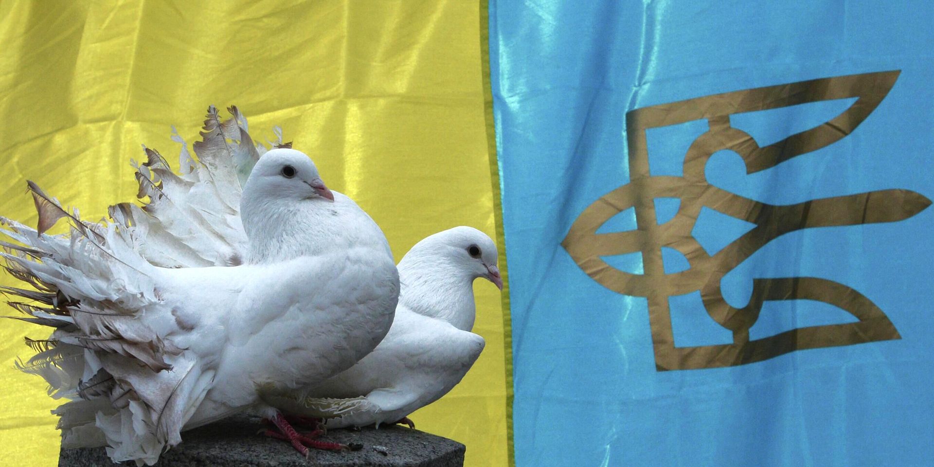 Белые голуби на фоне национального флага Украины  - ИноСМИ, 1920, 27.11.2025