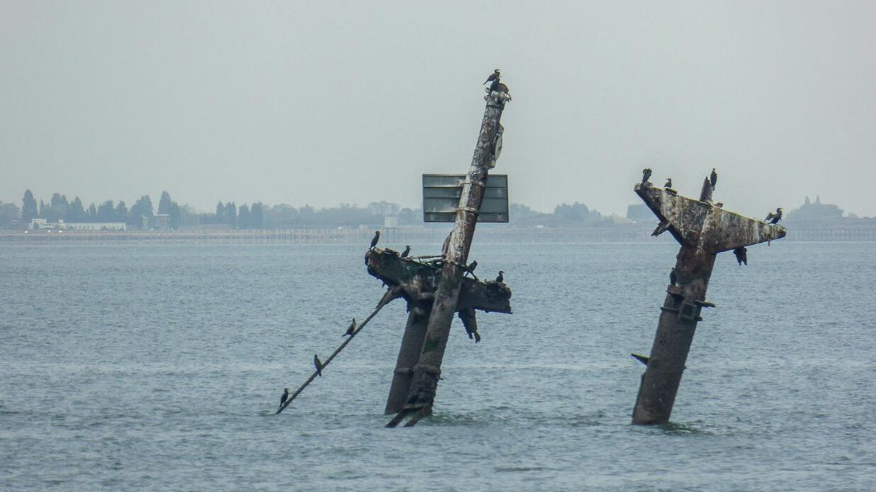 Мачты затонувшего судна Richard Montgomery