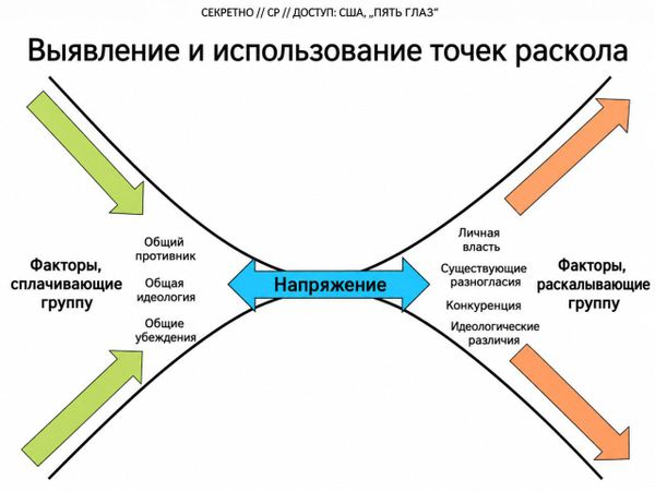 Инфографика 13