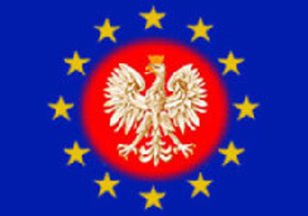 Польша в роли партнёра picture