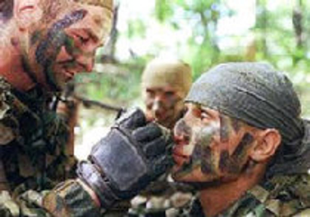 Армия должна стать меньше по численности picture