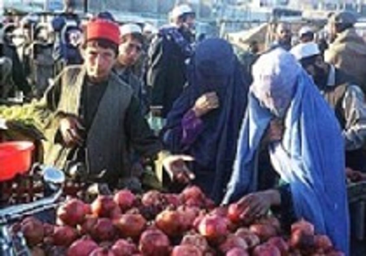 Звезда Усамы бен Ладена закатилась picture
