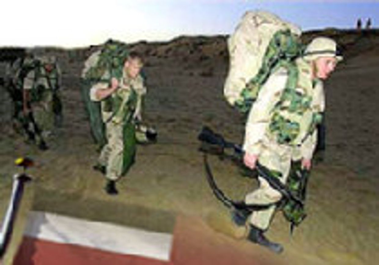 Почему американские войска нужны в Грузии? picture