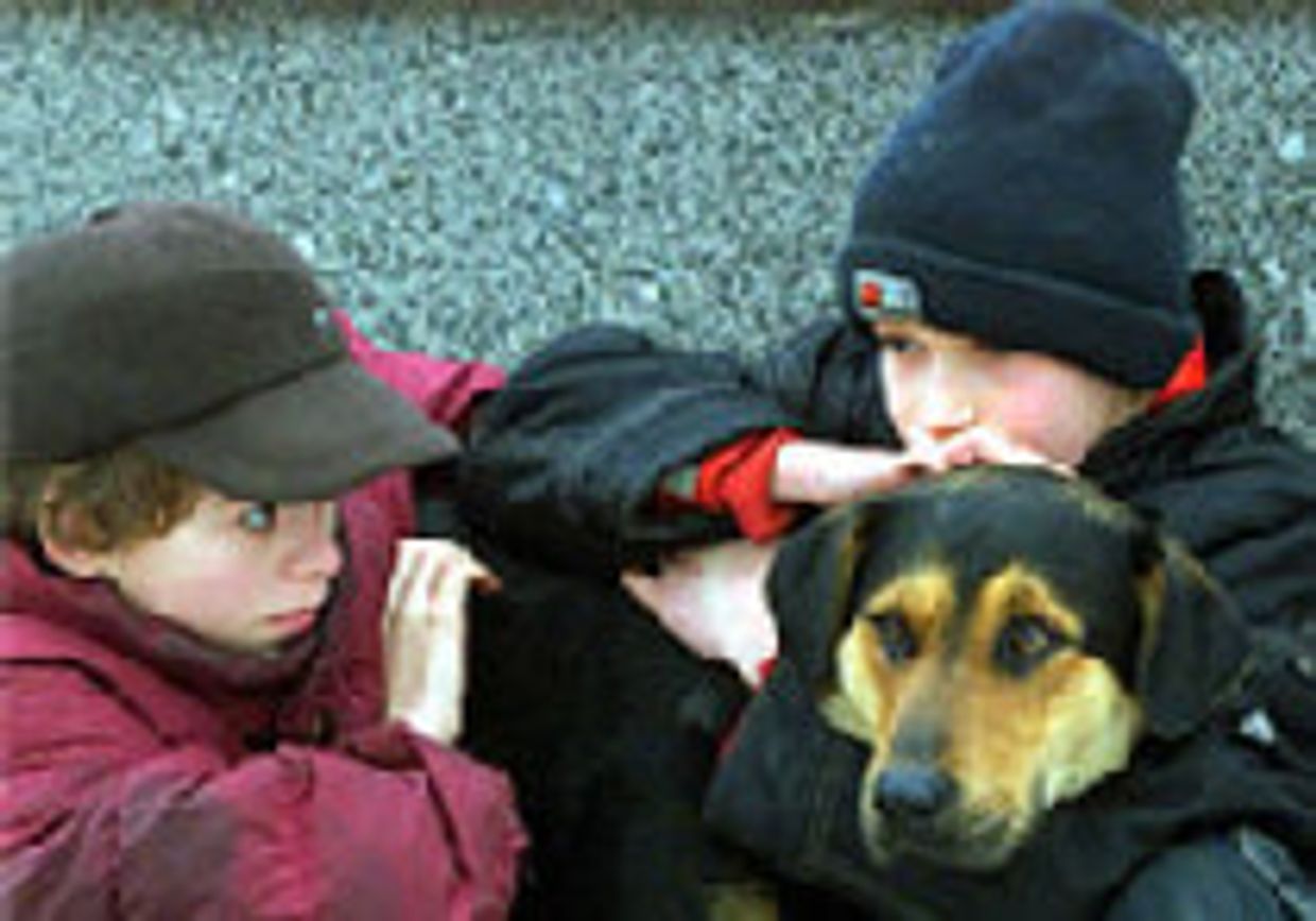 Подрастает беспризорное поколение России picture