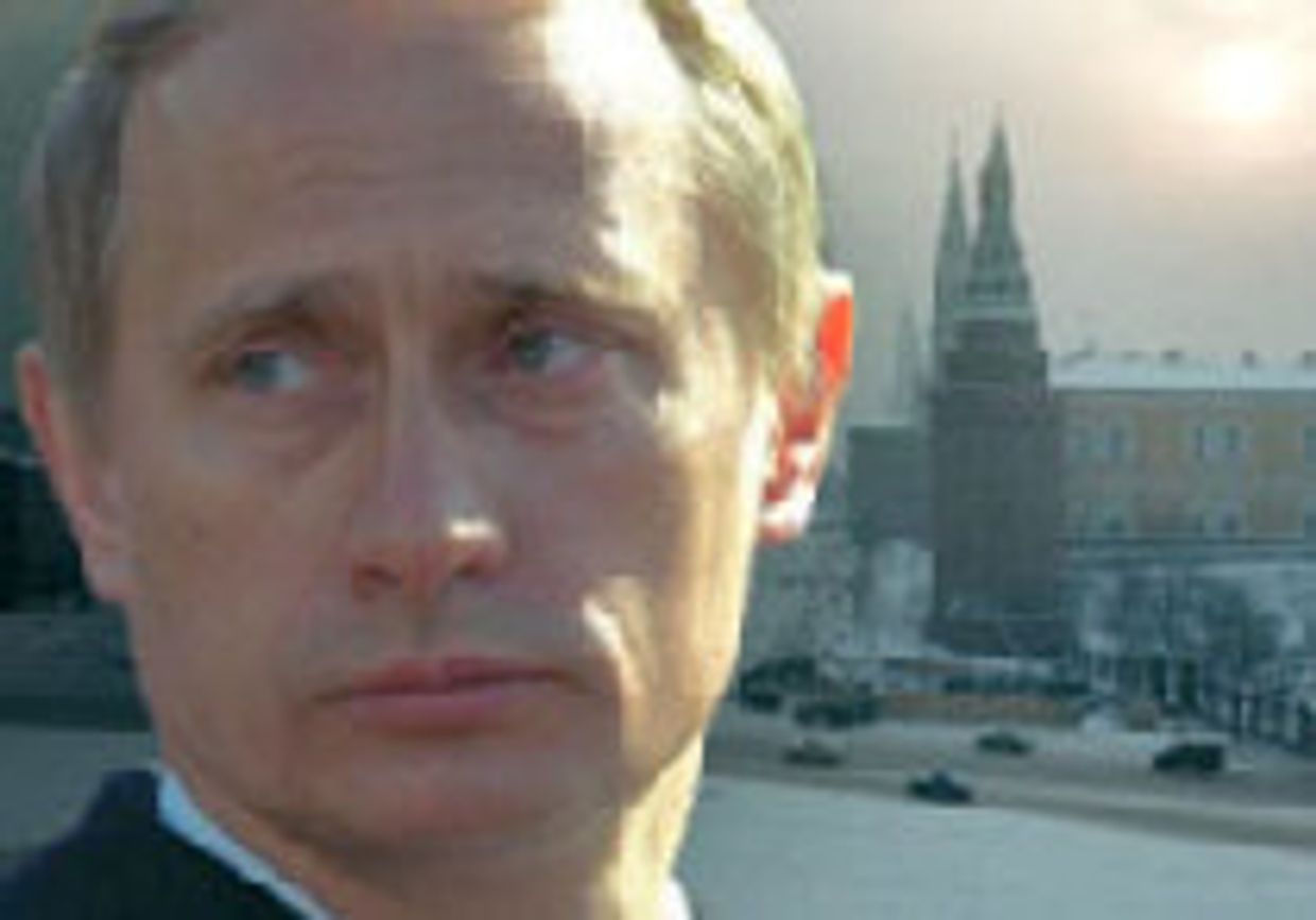 Холодный мир picture