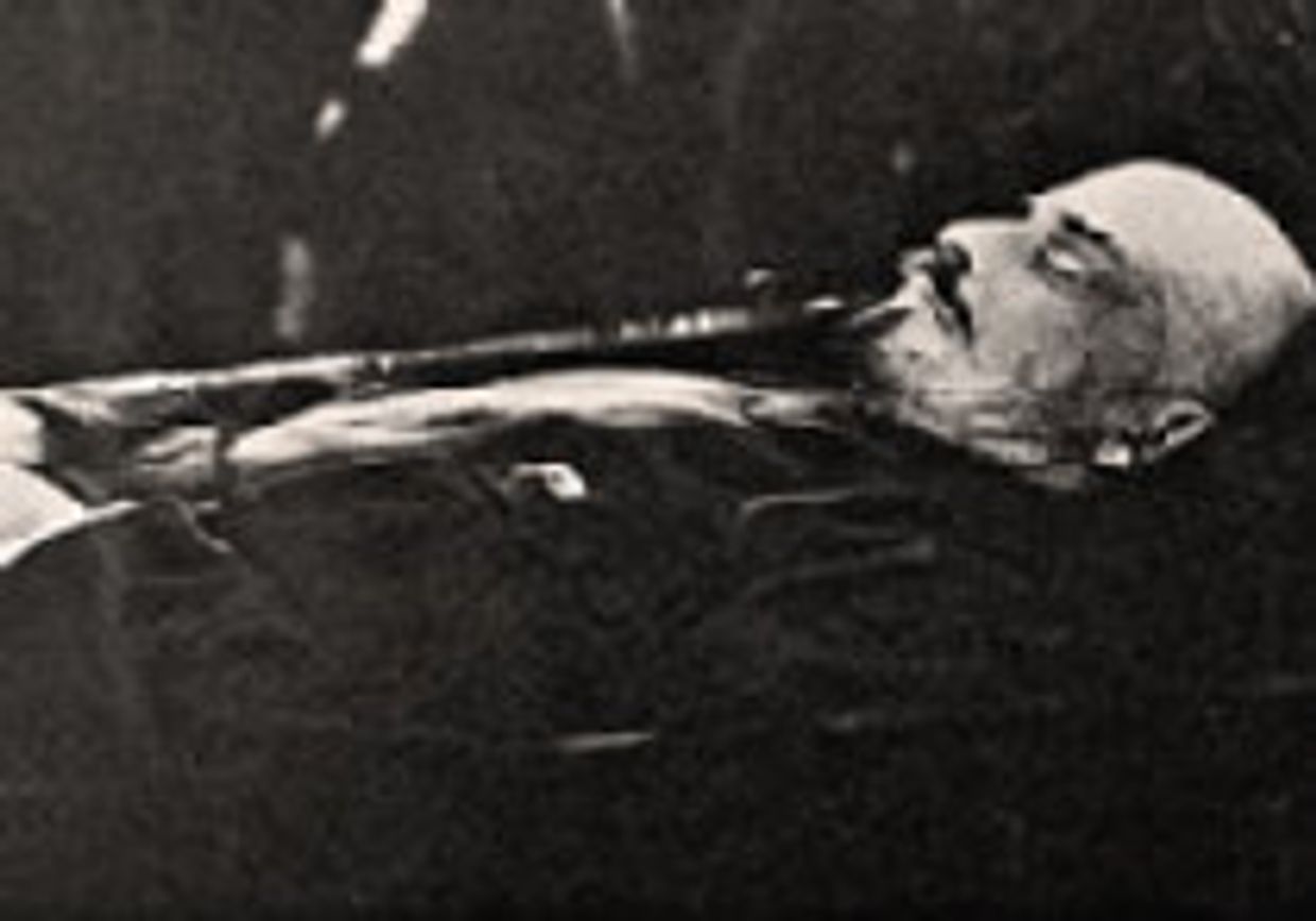Ленин picture