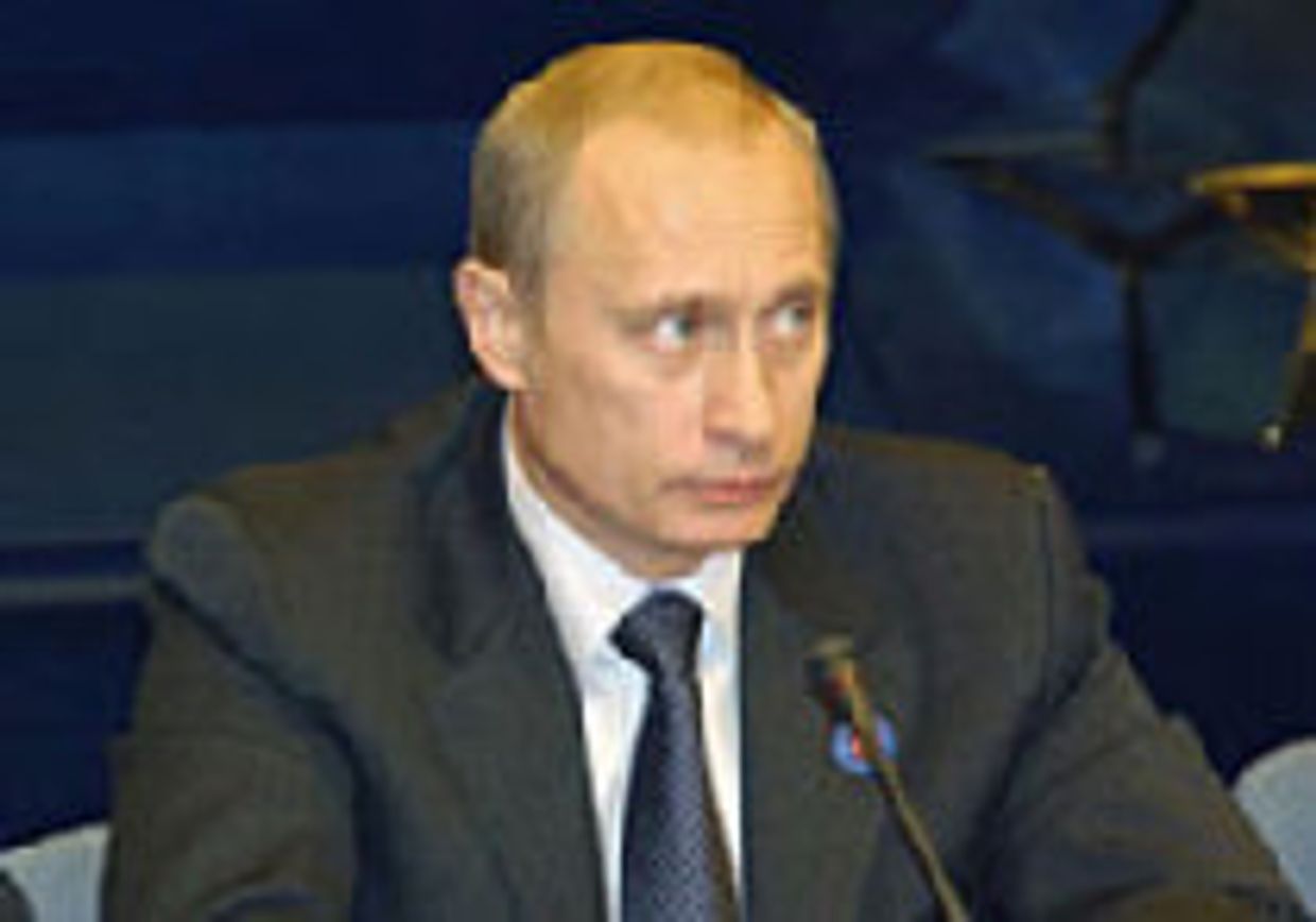 Они все бандиты picture
