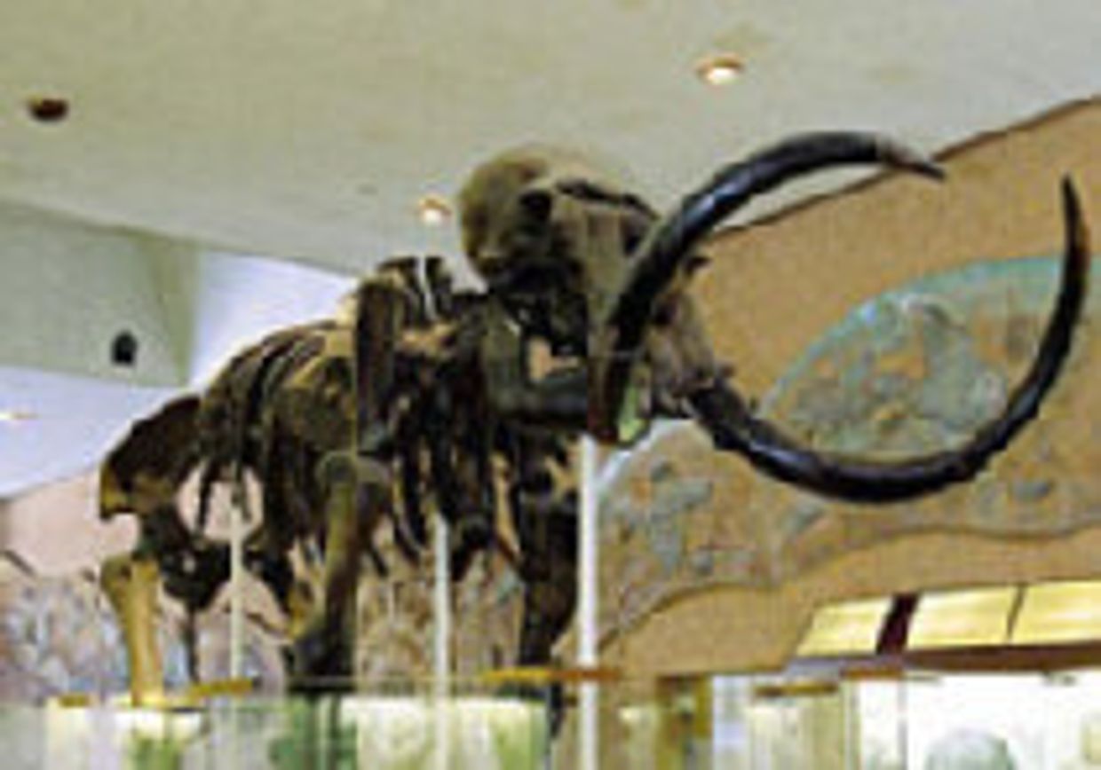 Дайджест ЭКСПО-2005, 10 января - 23 января picture