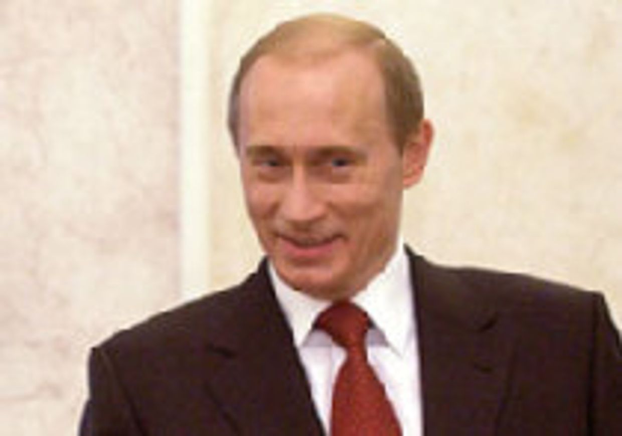 Владимир: закат мачо picture