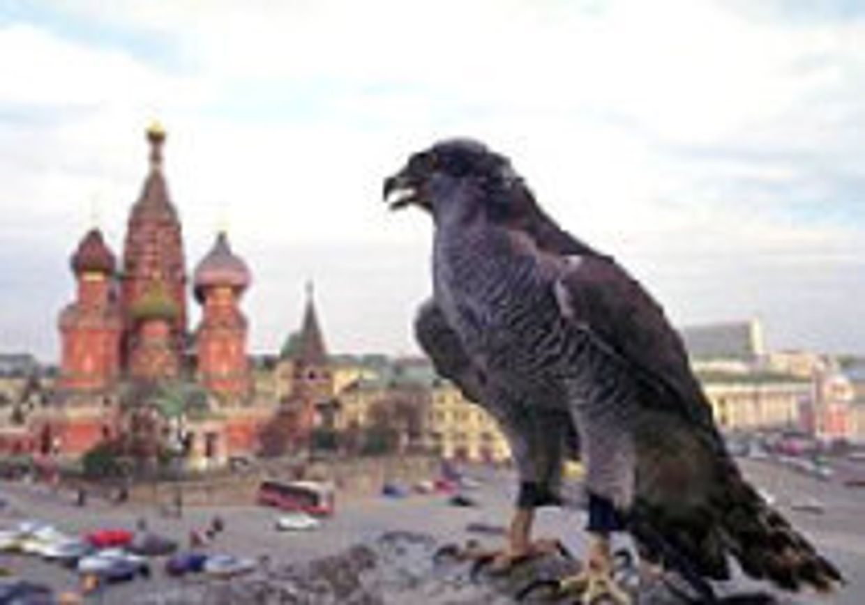 Осторожно, Москва! picture