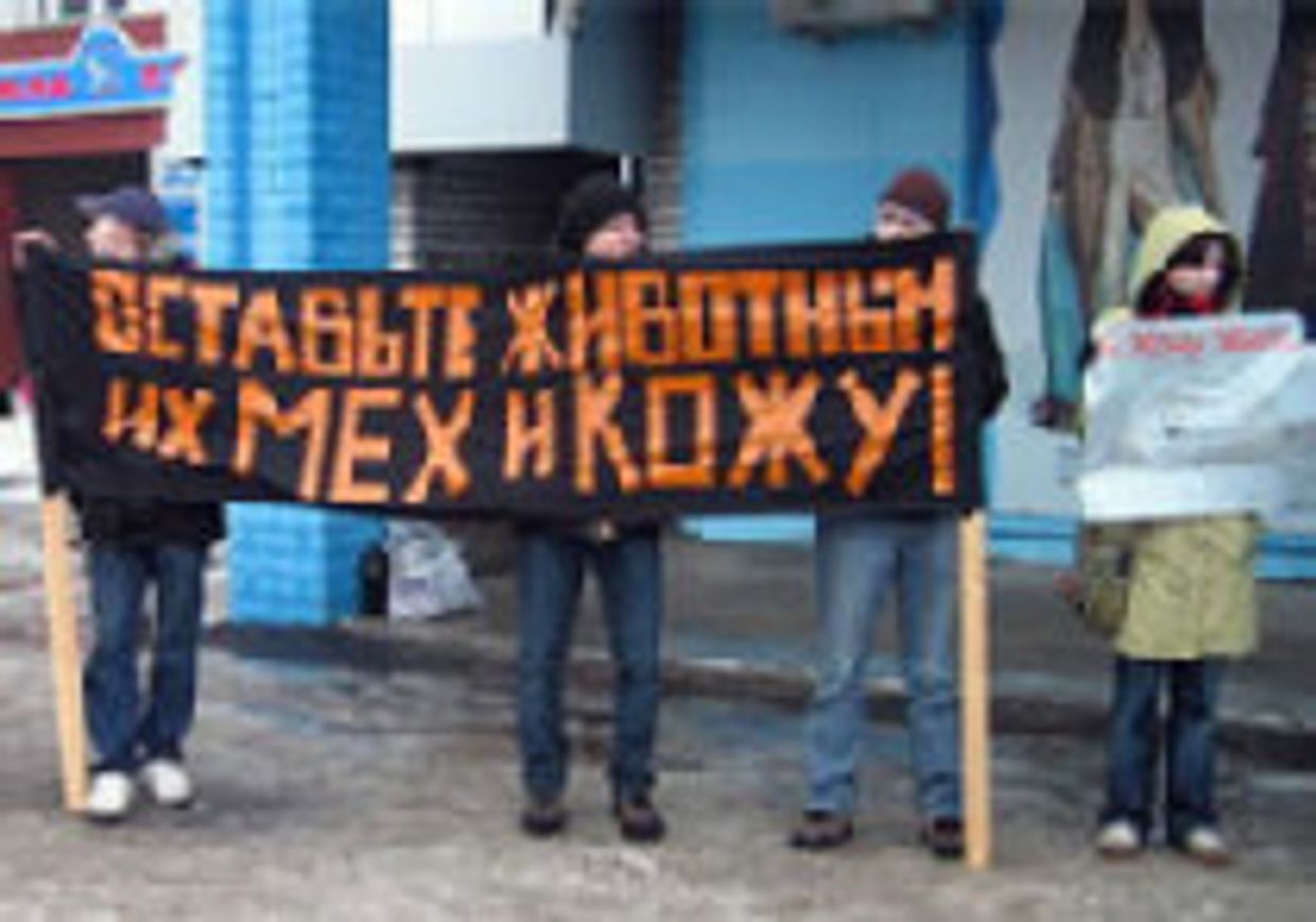 Споры вокруг меха - теперь и в России picture