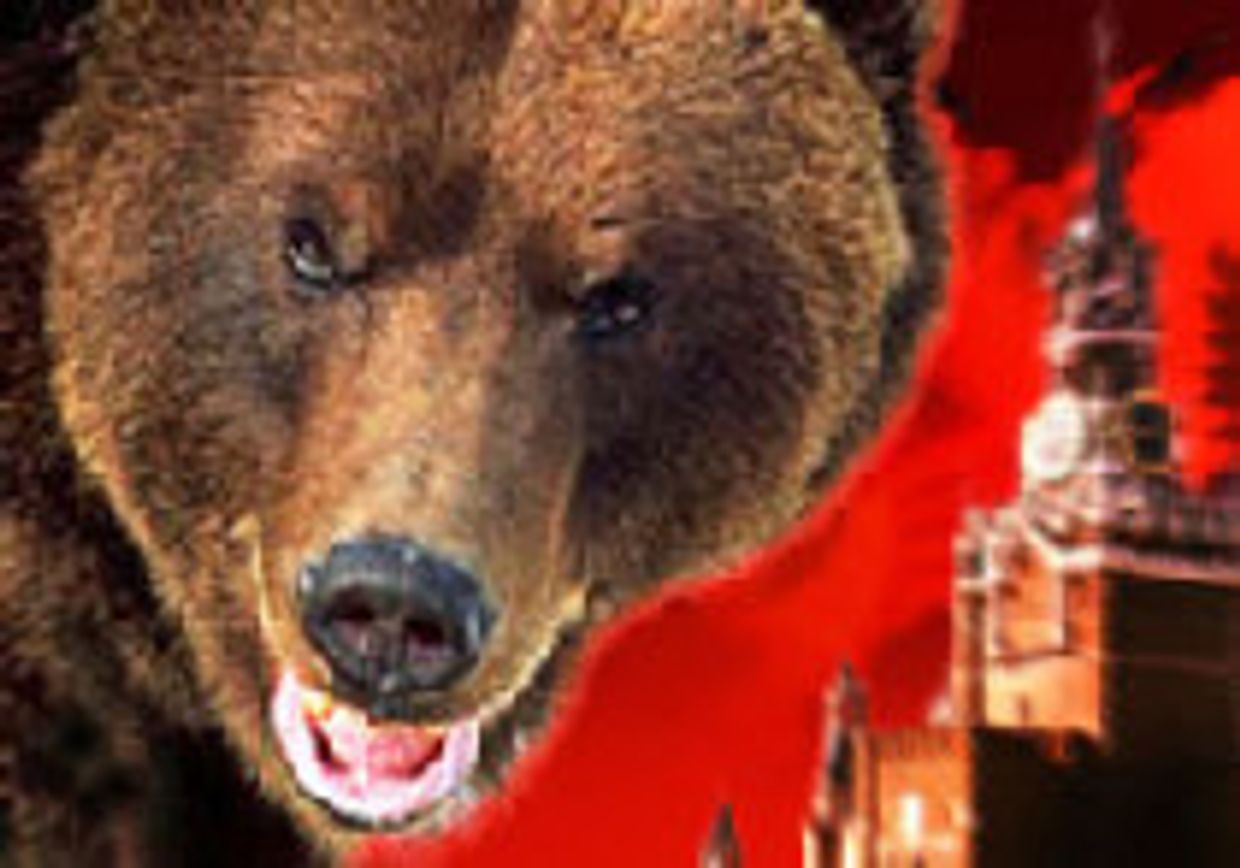 Медведь вернулся picture
