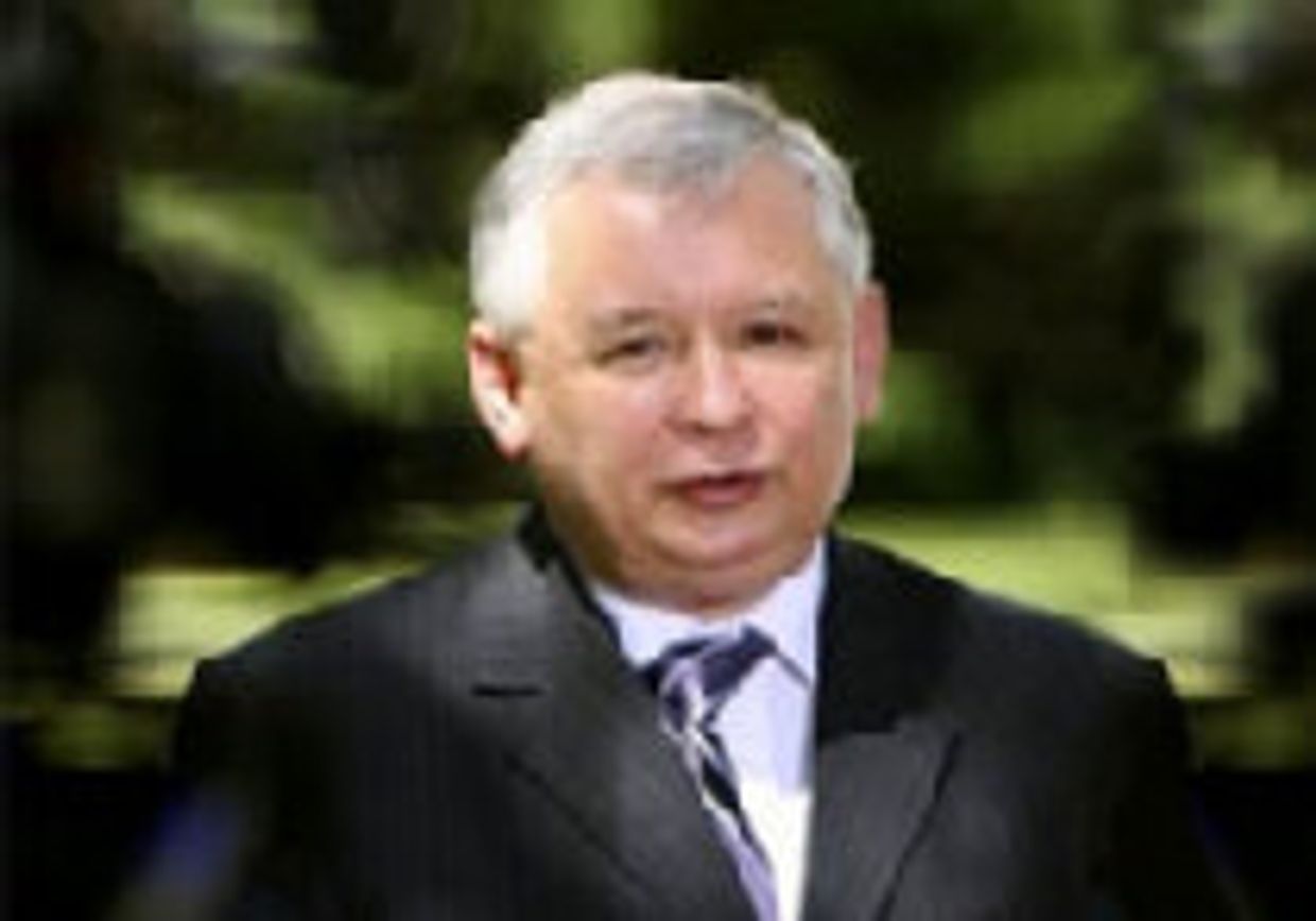 Польская блоха picture
