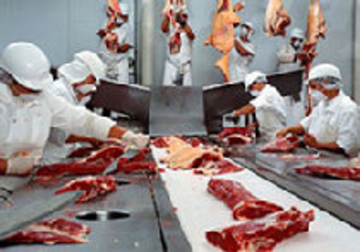 Европе не понравилось польское мясо picture