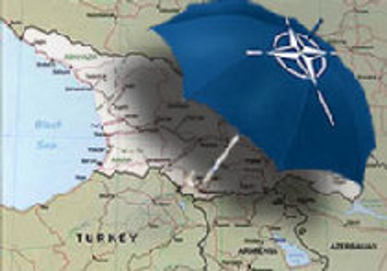 Под защитным зонтиком picture