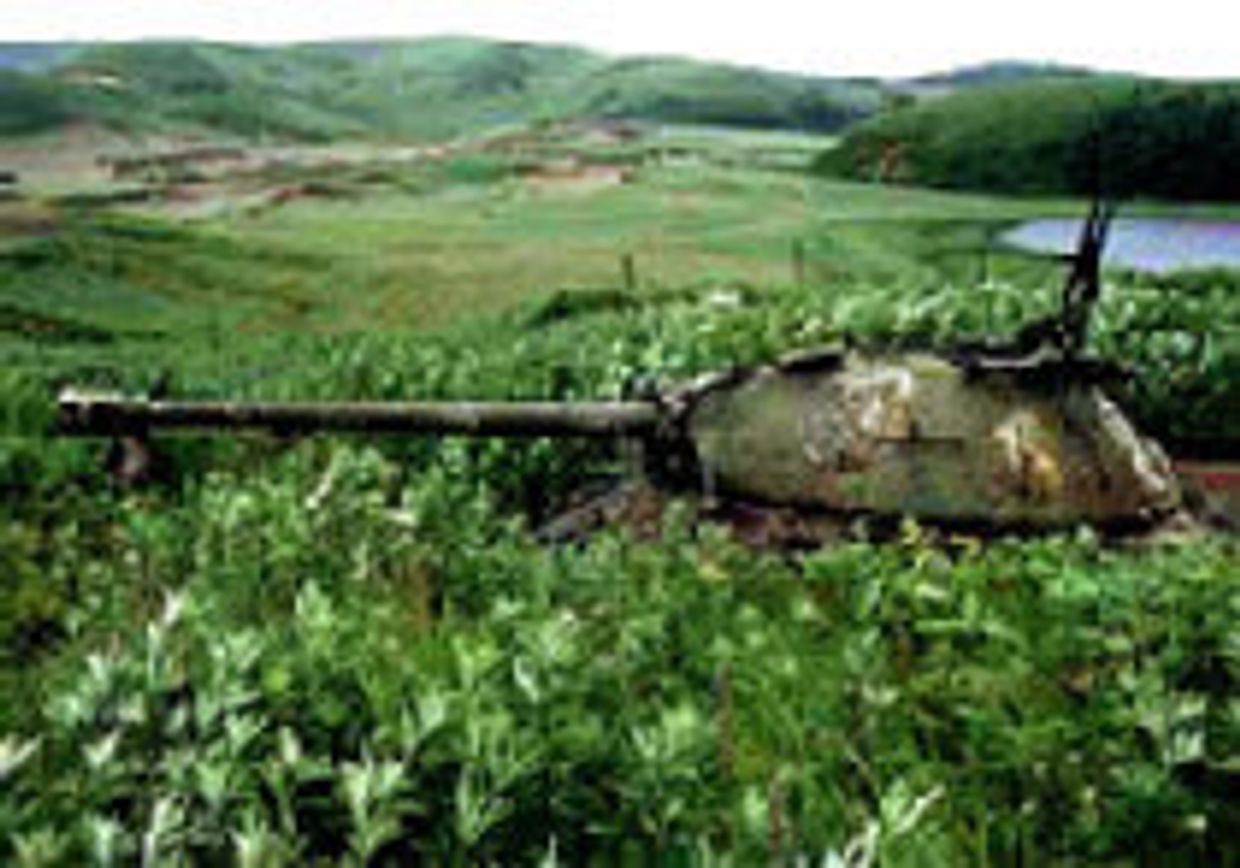Спорные острова: Россия усиливает хватку picture