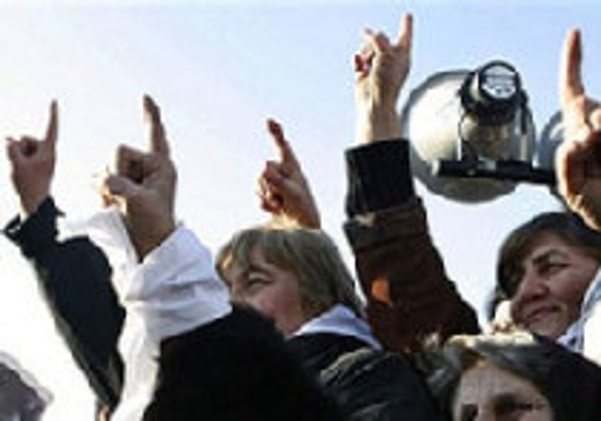 Цади, Саакашвили! picture