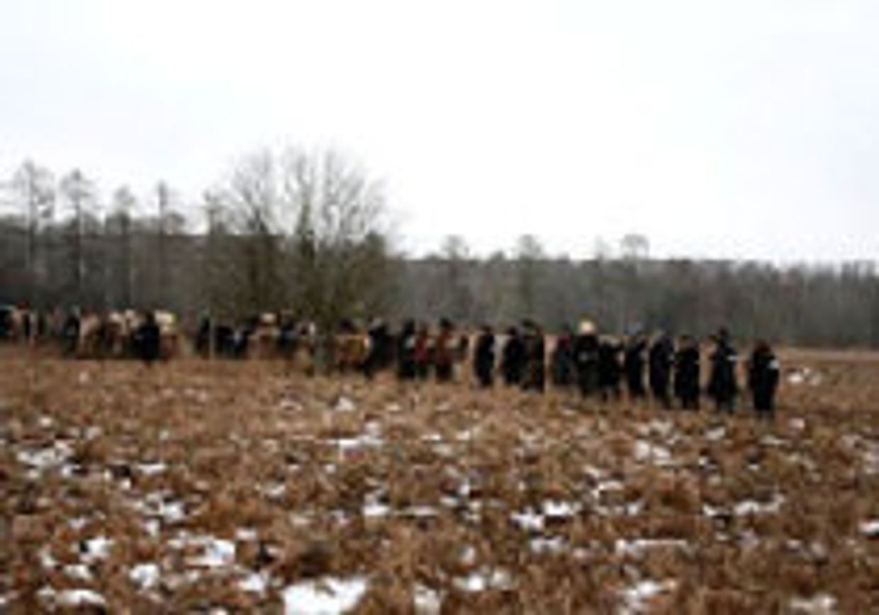 Под Нарвой вновь разбили большевиков picture