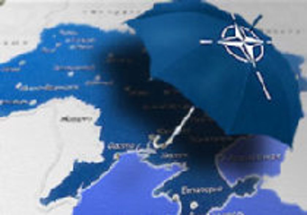 За Швейком - в НАТО picture