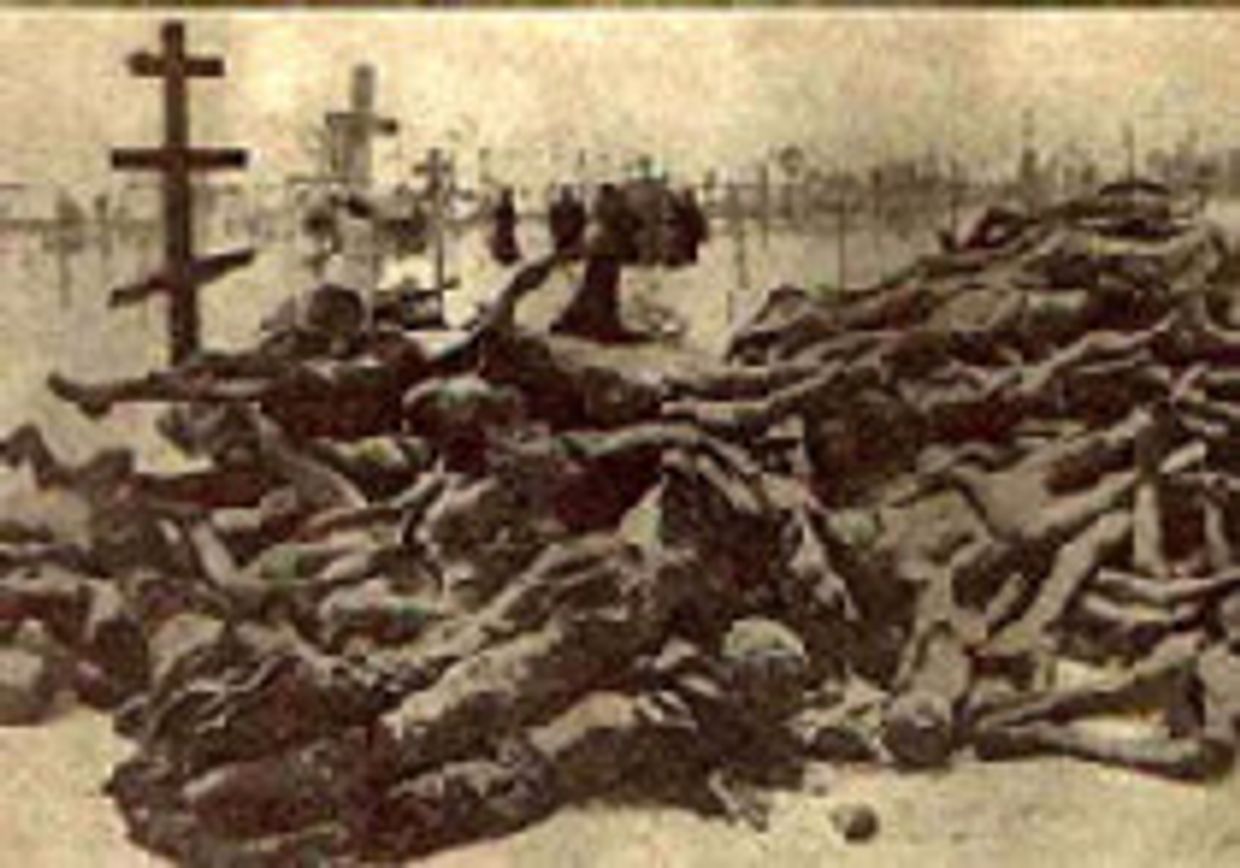 Причины голода 1933 года в Украине по страницам одной подзабытой книги picture