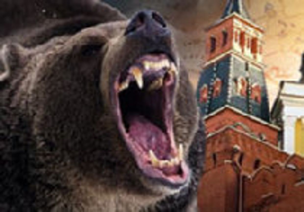 Не стоит злить медведя picture