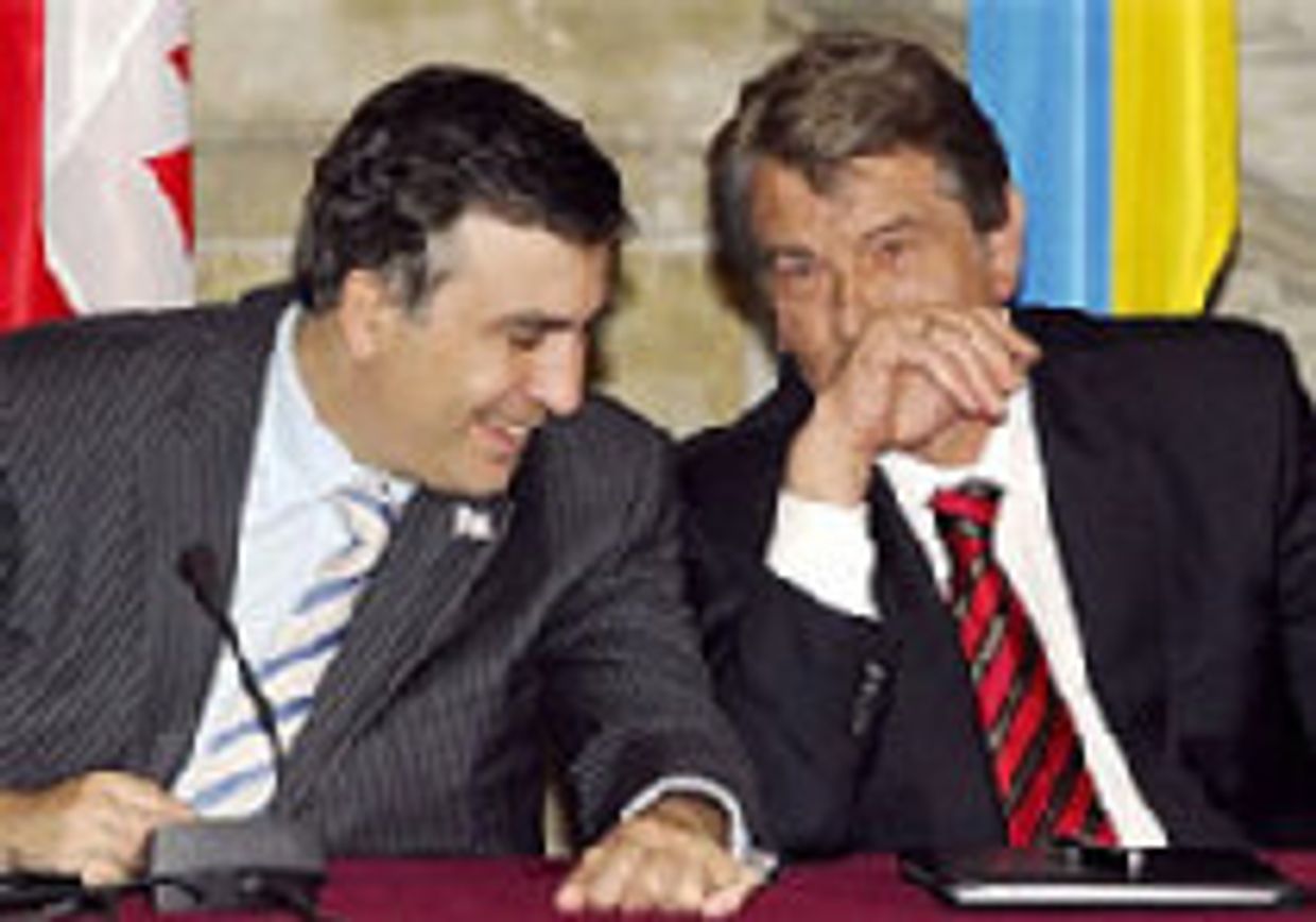 Путь в НАТО для Украины и Грузии picture