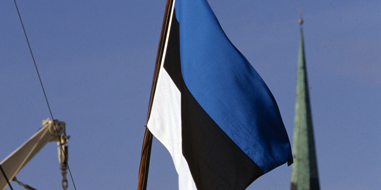 Государственный флаг Эстонии Государственный флаг Эстонии