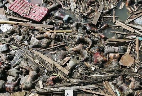 Wiped out Новоднение Цунами землетрясение азиатское побережье 2004 год