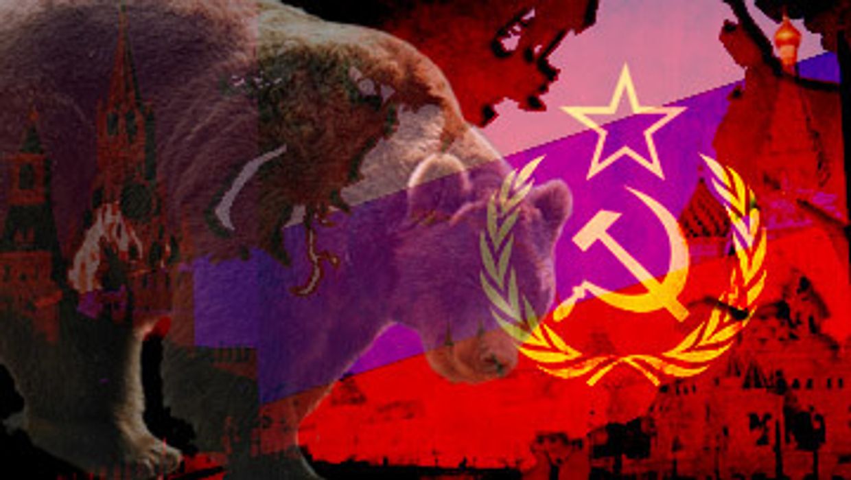 Дракон медведю товарищ