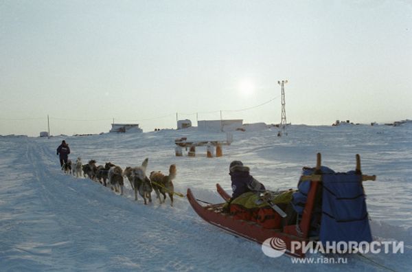 Участники  экспедиции едут на собачьих упряжках