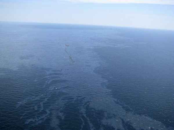 Разлив нефти в Мексиканском заливе