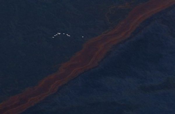 Разлив нефти в Мексиканском заливе