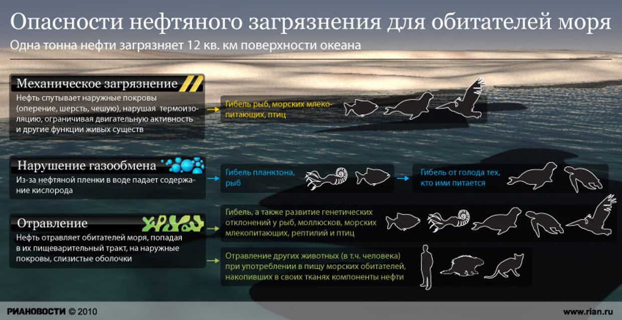 Опасности нефтяного загрязнения для обитателей моря