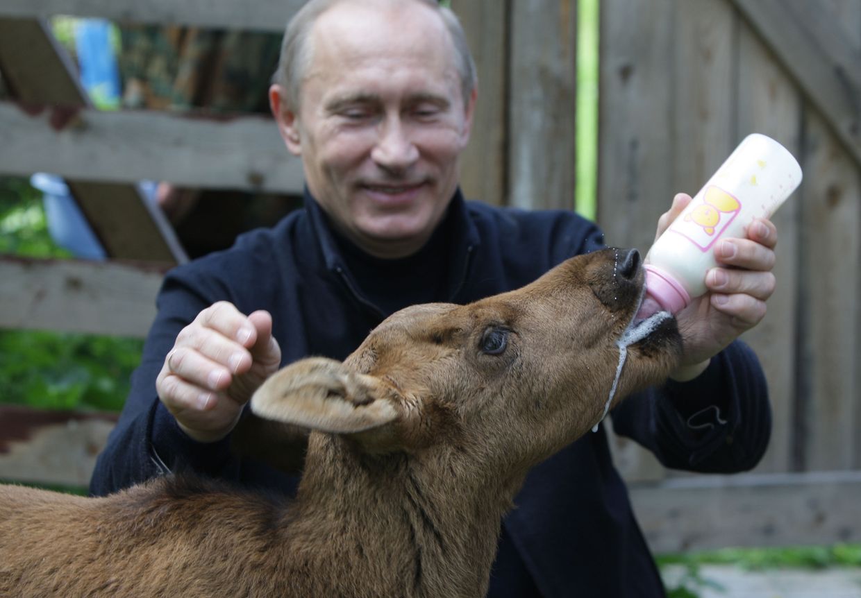 Премьер-министр РФ Владимир Путин посетил парк Лосиный остров