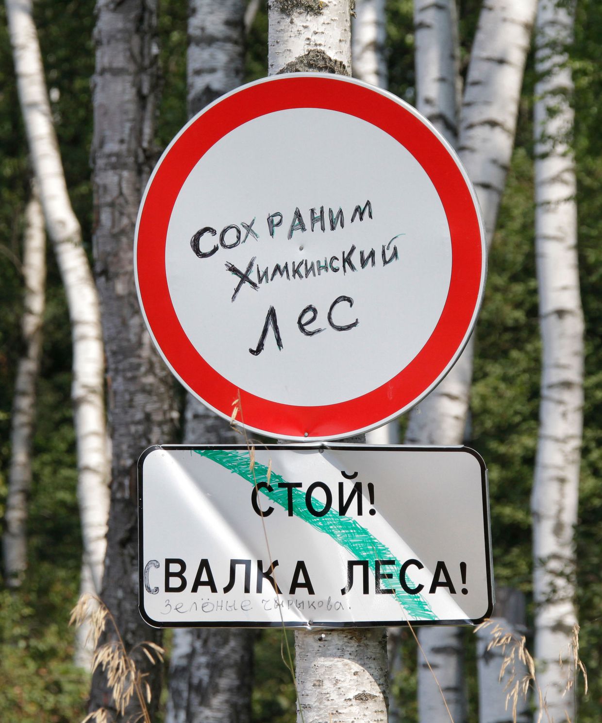 Ситуация в Химкинском лесу