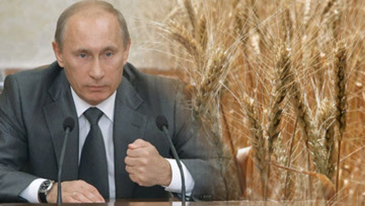 Путин запретил экспорт зерновых