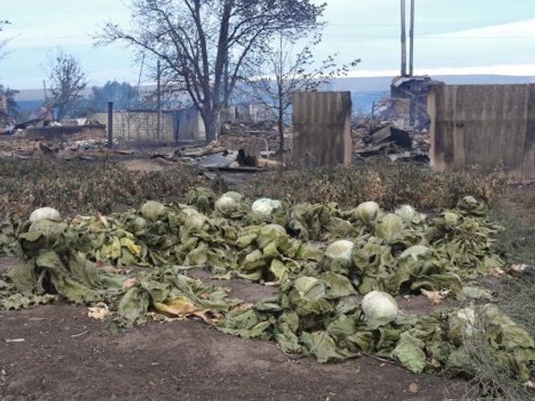 Последствия пожаров в Волгоградской области