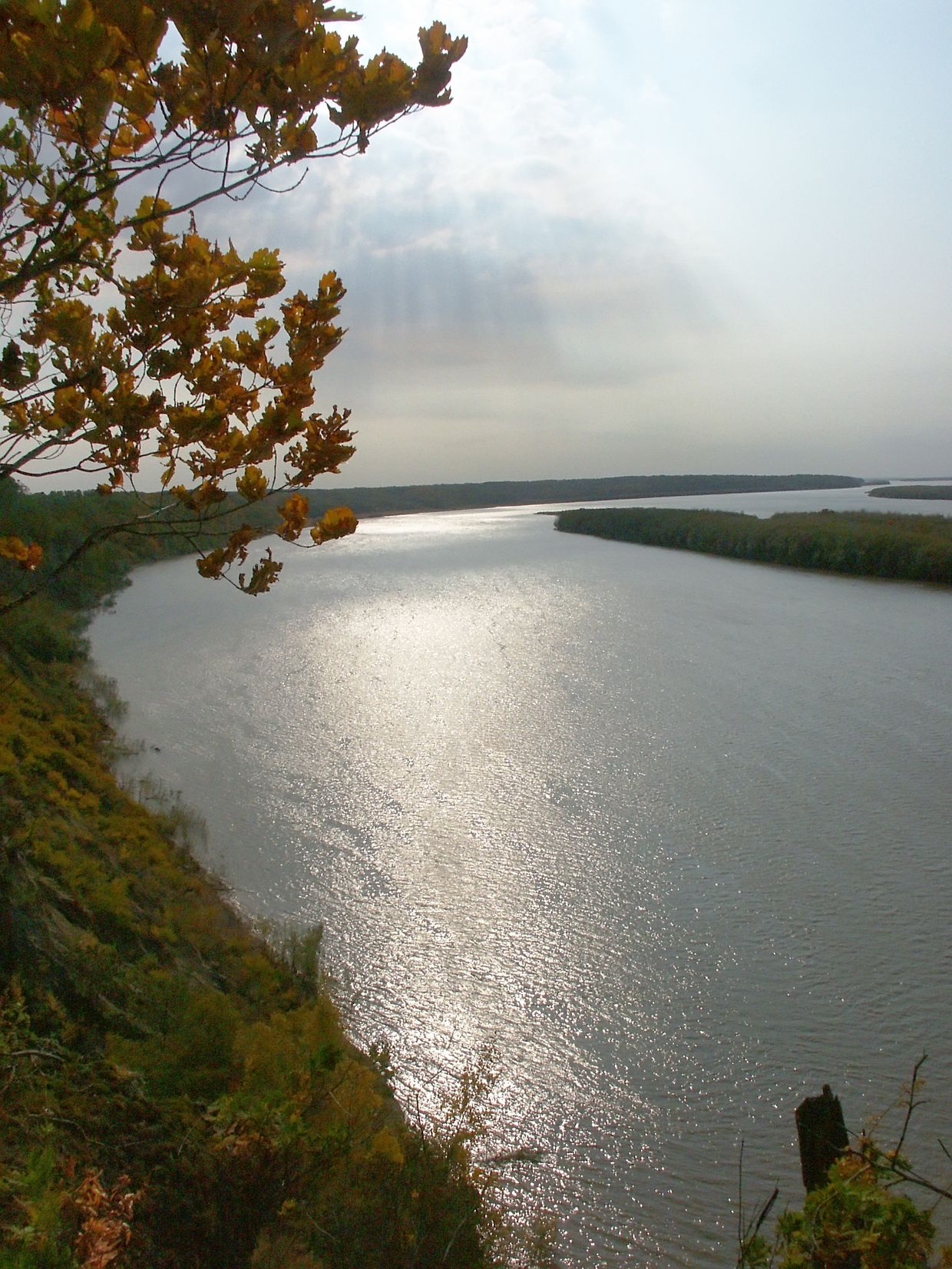 Амур