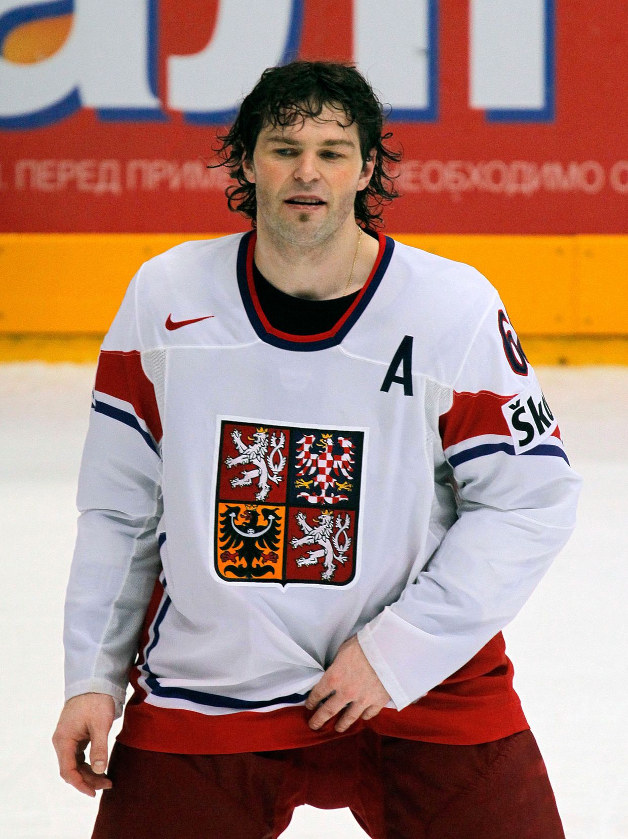 Хоккей. Чемпионат мира-2010. Полуфинал. Матч Швеция – Чехия - 2:3