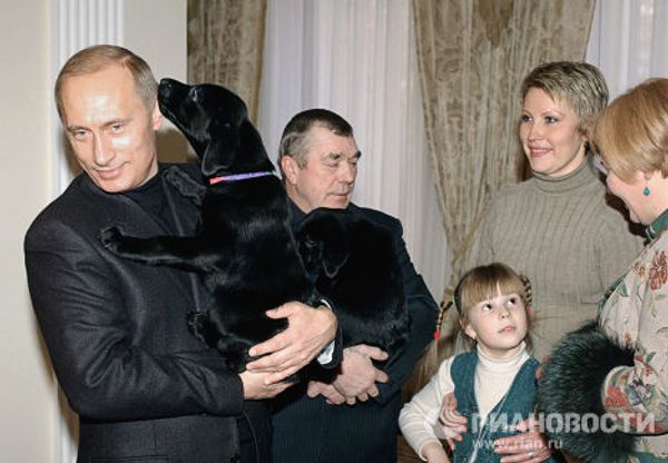 Щенки лабрадора Кони - подарок В.Путина А.Белевцу и Кате 