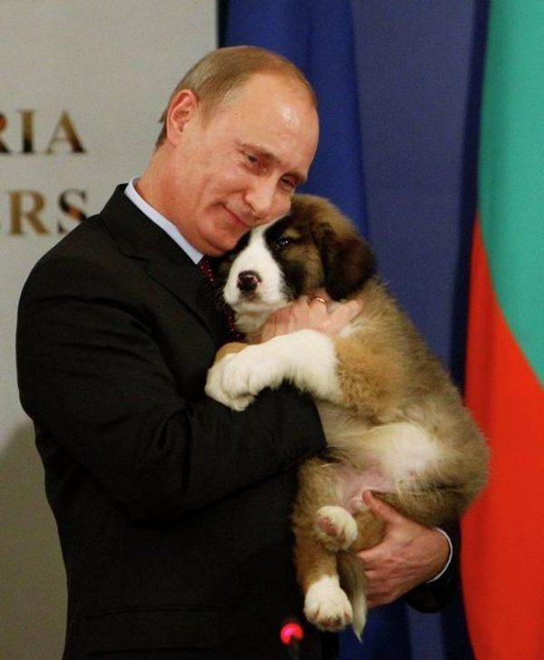Болгарский премьер-министр подарил щенка Владимиру Путину